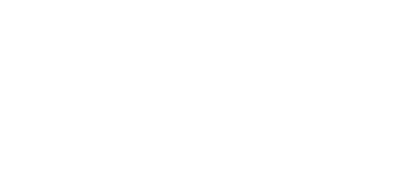 eviden